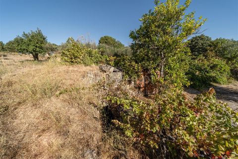 Tomt i Fundao, Castelo Branco, Fundao - € 26 500 | Ref: 111250171 - foto 13