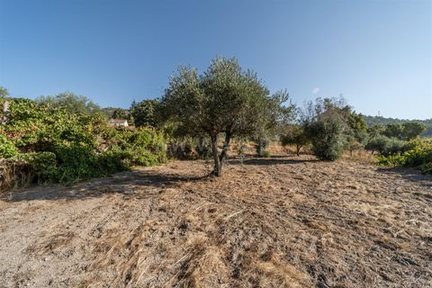 Tomt i Fundao, Castelo Branco, Fundao - € 26 500 | Ref: 111250171 - foto 14