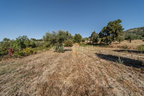 Tomt i Fundao, Castelo Branco, Fundao - € 26 500 | Ref: 111250171 - foto 18