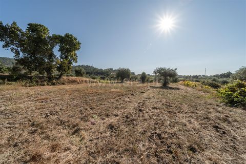 Tomt i Fundao, Castelo Branco, Fundao - € 26 500 | Ref: 111250171 - foto 19
