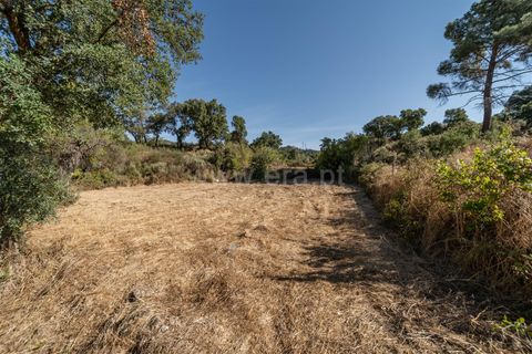 Helårsgrund i Fundao, Castelo Branco, Fundao - € 18.000 | Ref: 111250170 - foto 2