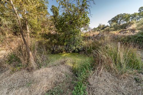 Helårsgrund i Fundao, Castelo Branco, Fundao - € 18.000 | Ref: 111250170 - foto 3