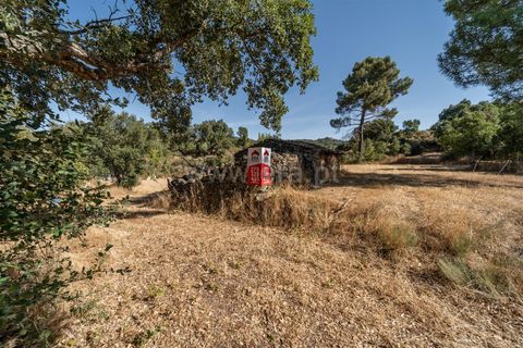 Helårsgrund i Fundao, Castelo Branco, Fundao - € 18.000 | Ref: 111250170 - foto 4