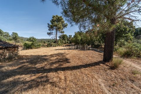 Helårsgrund i Fundao, Castelo Branco, Fundao - € 18.000 | Ref: 111250170 - foto 5