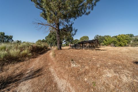 Helårsgrund i Fundao, Castelo Branco, Fundao - € 18.000 | Ref: 111250170 - foto 6