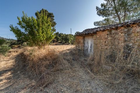 Helårsgrund i Fundao, Castelo Branco, Fundao - € 18.000 | Ref: 111250170 - foto 7