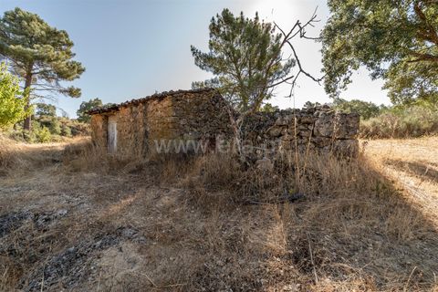 Helårsgrund i Fundao, Castelo Branco, Fundao - € 18.000 | Ref: 111250170 - foto 9
