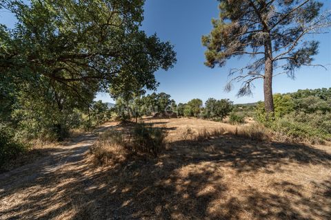 Helårsgrund i Fundao, Castelo Branco, Fundao - € 18.000 | Ref: 111250170 - foto 10
