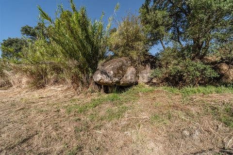 Helårsgrund i Fundao, Castelo Branco, Fundao - € 18.000 | Ref: 111250170 - foto 11