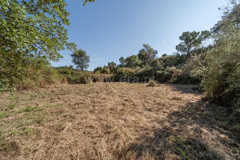 Helårsgrund i Fundao, Castelo Branco, Fundao - € 18.000 | Ref: 111250170 - foto 12