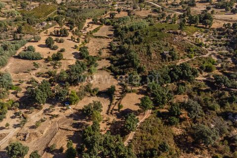 Helårsgrund i Fundao, Castelo Branco, Fundao - € 18.000 | Ref: 111250170 - foto 13