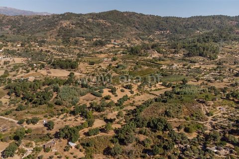 Helårsgrund i Fundao, Castelo Branco, Fundao - € 18.000 | Ref: 111250170 - foto 14