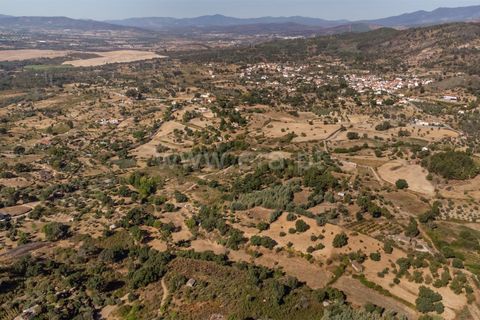 Helårsgrund i Fundao, Castelo Branco, Fundao - € 18.000 | Ref: 111250170 - foto 15