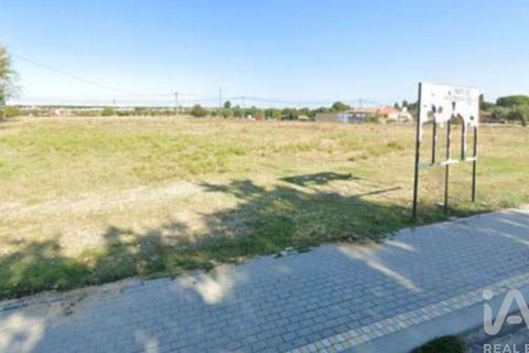 Terra a Ponte de Sor, Portalegre, Ponte de Sor - € 105.000 | Ref: 148483 - foto 3
