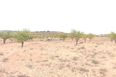 Helårsgrund i Pinoso, Alicante, Pinoso - € 75.995 | Ref: 68020 - foto 4