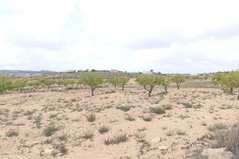 Helårsgrund i Pinoso, Alicante, Pinoso - € 75.995 | Ref: 68020 - foto 6