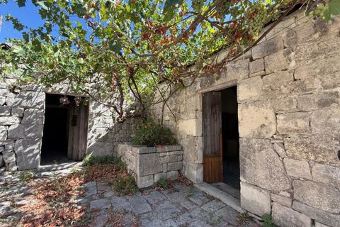 Villa i Modica, Ragusa, Modica - € 110.000 | Ref: MA 150 - foto 19