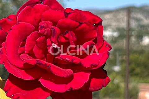 Landejendom i Ibi, Alicante, Ibi - € 425.000 | Ref: 561/6818 - foto 35