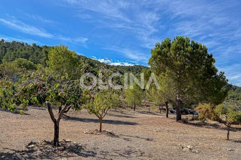 Landejendom i Ibi, Alicante, Ibi - € 425.000 | Ref: 561/6818 - foto 37