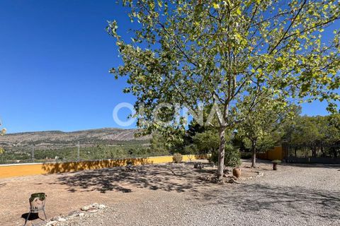 Landejendom i Ibi, Alicante, Ibi - € 425.000 | Ref: 561/6818 - foto 40