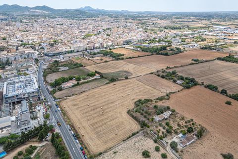 Helårsgrund i Manacor, Mallorca, Manacor - € 99.000 | Ref: 05RCLF020/3010 - foto 3