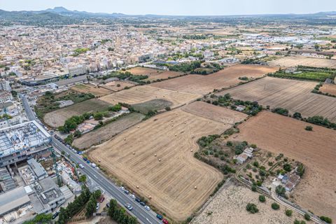 Helårsgrund i Manacor, Mallorca, Manacor - € 99.000 | Ref: 05RCLF020/3010 - foto 4