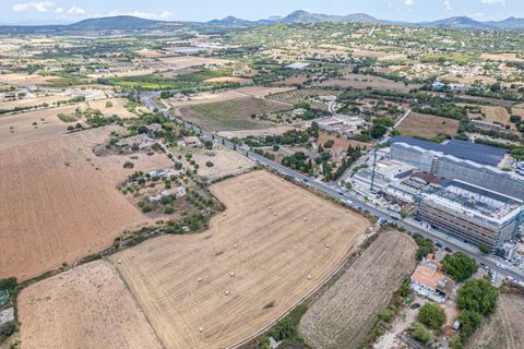 Helårsgrund i Manacor, Mallorca, Manacor - € 99.000 | Ref: 05RCLF020/3010 - foto 5