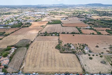 Helårsgrund i Manacor, Mallorca, Manacor - € 99.000 | Ref: 05RCLF020/3010 - foto 6