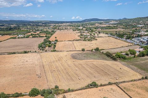 Helårsgrund i Manacor, Mallorca, Manacor - € 99.000 | Ref: 05RCLF020/3010 - foto 8