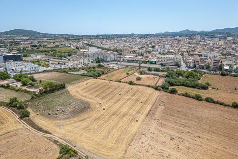 Helårsgrund i Manacor, Mallorca, Manacor - € 99.000 | Ref: 05RCLF020/3010 - foto 9