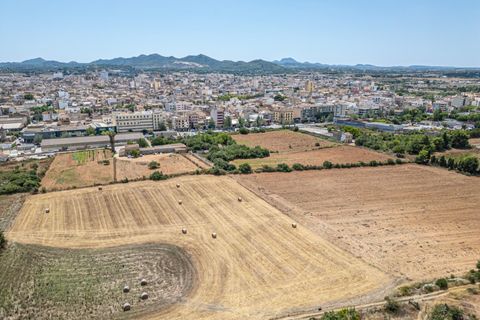 Helårsgrund i Manacor, Mallorca, Manacor - € 99.000 | Ref: 05RCLF020/3010 - foto 10
