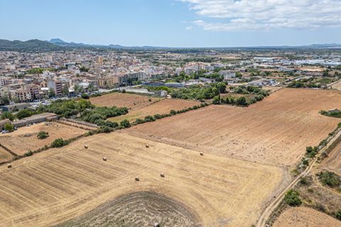 Helårsgrund i Manacor, Mallorca, Manacor - € 99.000 | Ref: 05RCLF020/3010 - foto 11