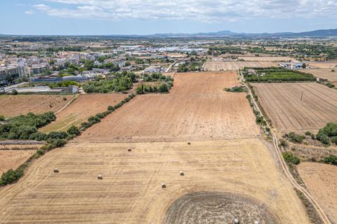 Helårsgrund i Manacor, Mallorca, Manacor - € 99.000 | Ref: 05RCLF020/3010 - foto 12