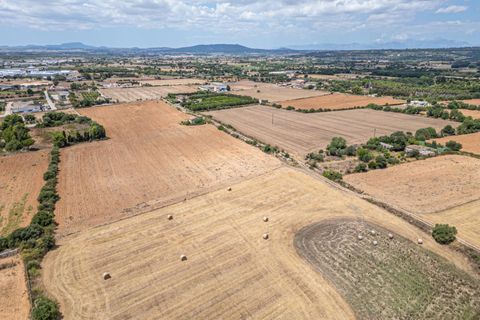 Helårsgrund i Manacor, Mallorca, Manacor - € 99.000 | Ref: 05RCLF020/3010 - foto 13
