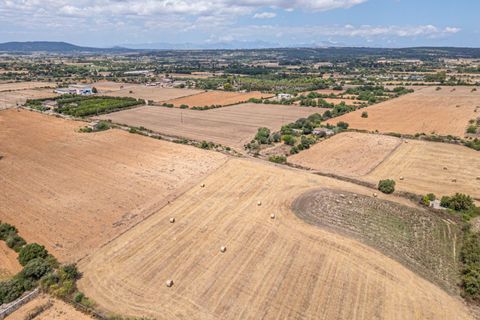 Helårsgrund i Manacor, Mallorca, Manacor - € 99.000 | Ref: 05RCLF020/3010 - foto 14