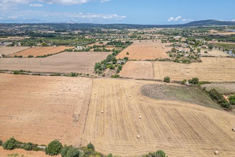 Helårsgrund i Manacor, Mallorca, Manacor - € 99.000 | Ref: 05RCLF020/3010 - foto 15