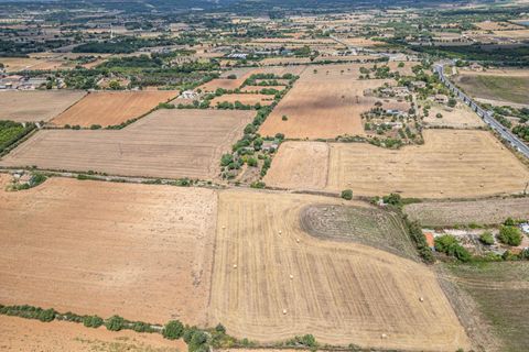 Helårsgrund i Manacor, Mallorca, Manacor - € 99.000 | Ref: 05RCLF020/3010 - foto 16