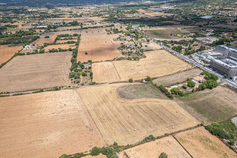 Helårsgrund i Manacor, Mallorca, Manacor - € 99.000 | Ref: 05RCLF020/3010 - foto 17