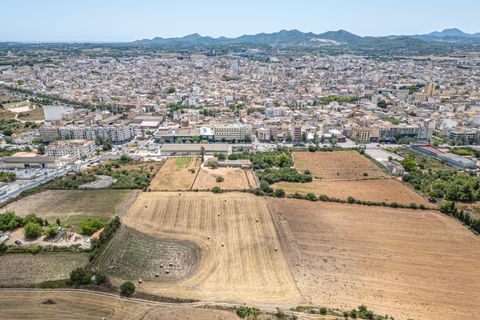 Helårsgrund i Manacor, Mallorca, Manacor - € 99.000 | Ref: 05RCLF020/3010 - foto 21