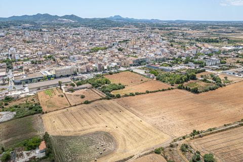 Helårsgrund i Manacor, Mallorca, Manacor - € 99.000 | Ref: 05RCLF020/3010 - foto 22