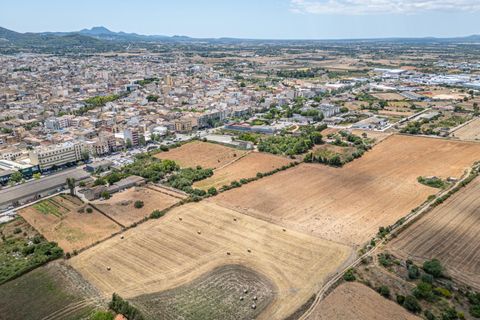 Helårsgrund i Manacor, Mallorca, Manacor - € 99.000 | Ref: 05RCLF020/3010 - foto 23
