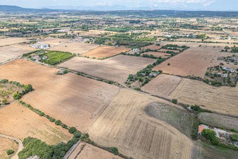 Helårsgrund i Manacor, Mallorca, Manacor - € 99.000 | Ref: 05RCLF020/3010 - foto 24