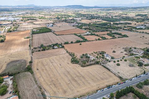 Helårsgrund i Manacor, Mallorca, Manacor - € 99.000 | Ref: 05RCLF020/3010 - foto 26