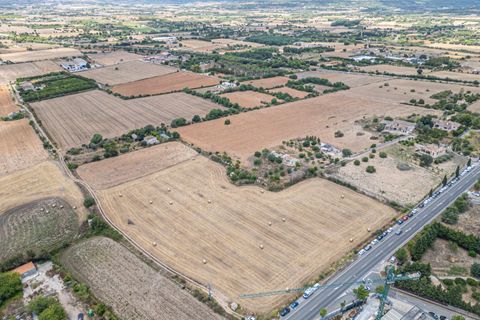 Helårsgrund i Manacor, Mallorca, Manacor - € 99.000 | Ref: 05RCLF020/3010 - foto 27
