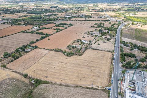 Helårsgrund i Manacor, Mallorca, Manacor - € 99.000 | Ref: 05RCLF020/3010 - foto 28