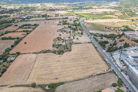 Helårsgrund i Manacor, Mallorca, Manacor - € 99.000 | Ref: 05RCLF020/3010 - foto 29