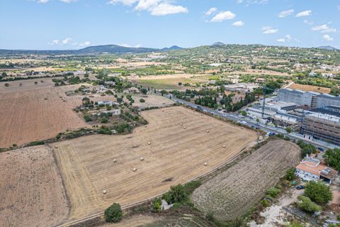 Helårsgrund i Manacor, Mallorca, Manacor - € 99.000 | Ref: 05RCLF020/3010 - foto 30