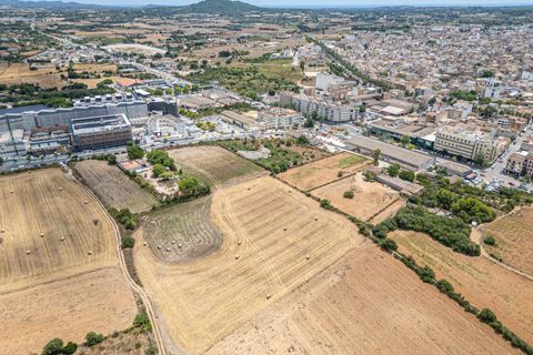 Helårsgrund i Manacor, Mallorca, Manacor - € 99.000 | Ref: 05RCLF020/3010 - foto 31