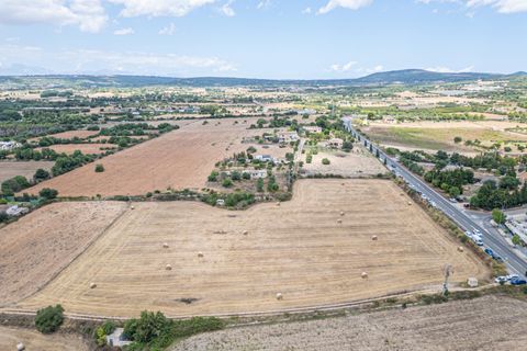 Helårsgrund i Manacor, Mallorca, Manacor - € 99.000 | Ref: 05RCLF020/3010 - foto 32