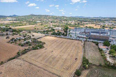 Helårsgrund i Manacor, Mallorca, Manacor - € 99.000 | Ref: 05RCLF020/3010 - foto 33